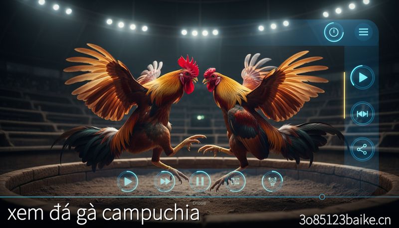 Trực tiếp đá gà CPC